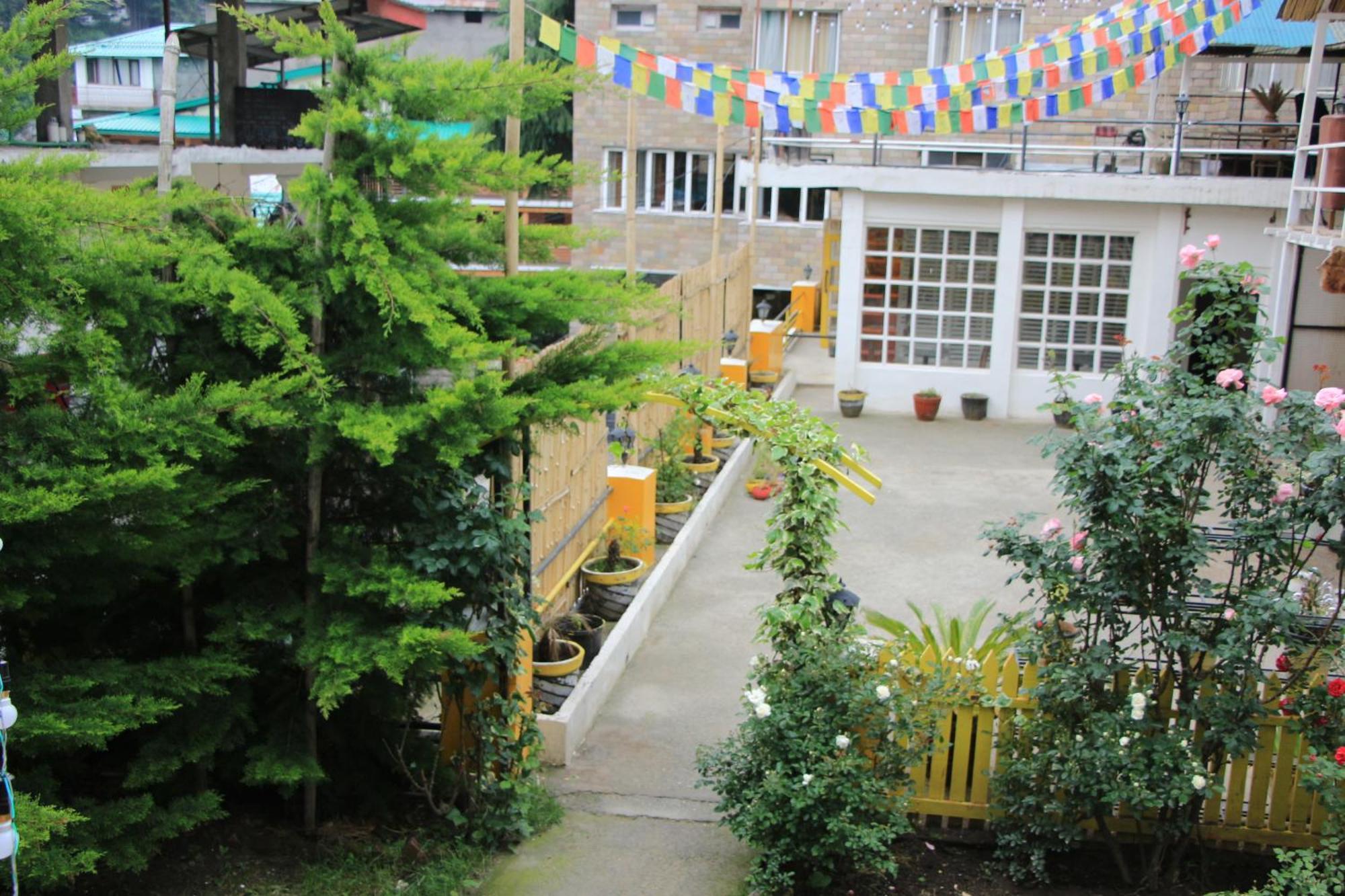 The Village Manali- Cafe, Bar & Bistro - Manali (Himachal Pradesh) — Photos 2